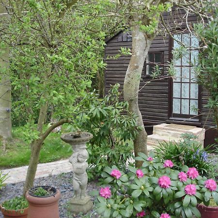 Hollydene Lodge Whitstable Exterior photo